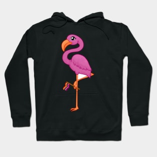 Lesbian Flamingo Hoodie